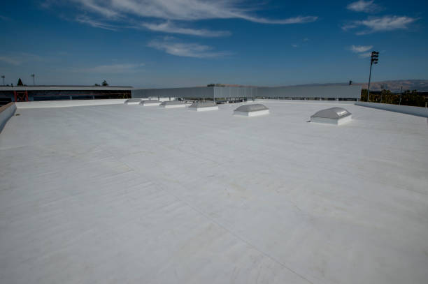 Best Storm Damage Roof Repair  in Carroll, IA
