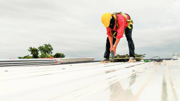 Best Roof Insulation Installation  in Carroll, IA