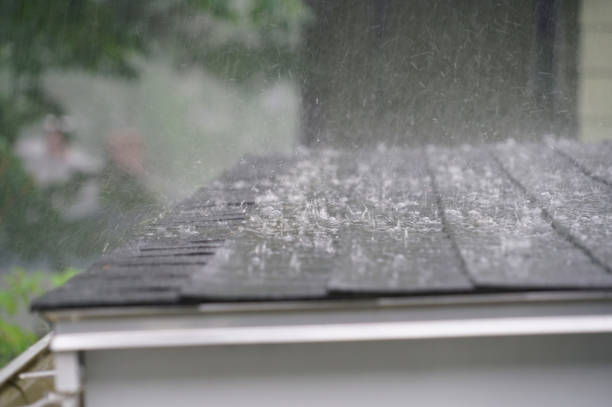 Best Rubber Roofing (EPDM, TPO)  in Carroll, IA
