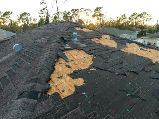 Best Skylights  in Carroll, IA