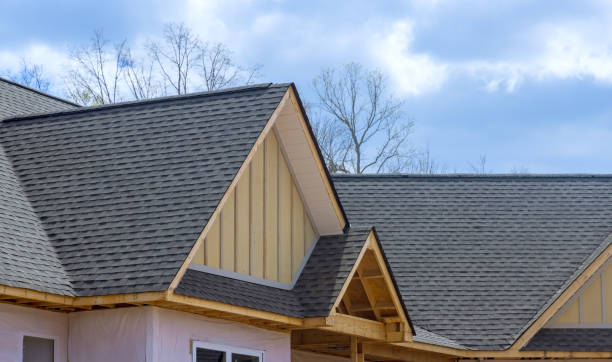Best Storm Damage Roof Repair  in Carroll, IA