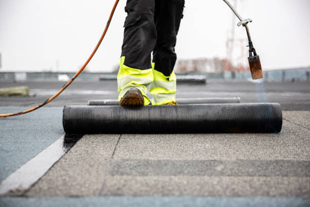 Best Solar Panel Roofing Installation  in Carroll, IA