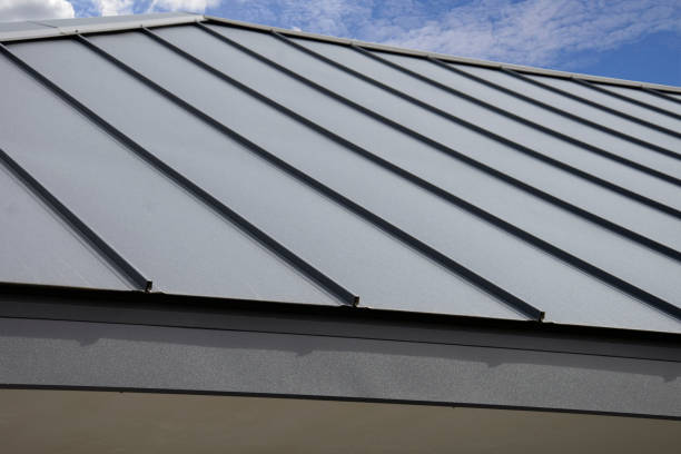 Best Roof Leak Repair  in Carroll, IA