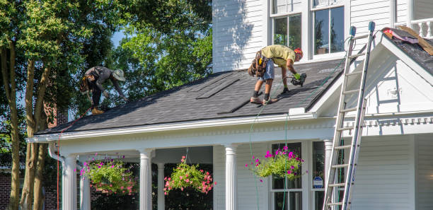 Best Cold Roofs  in Carroll, IA